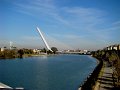 DSC08493 - Copy